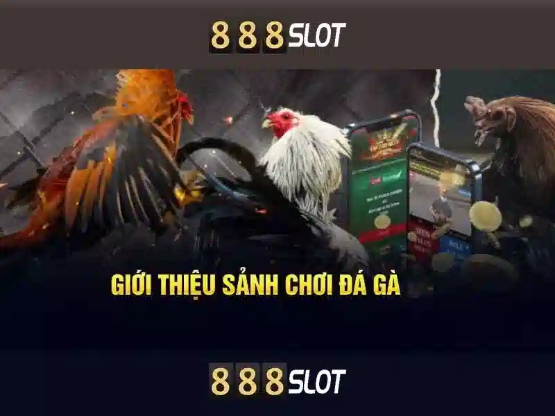 Giới thiệu về 888slot