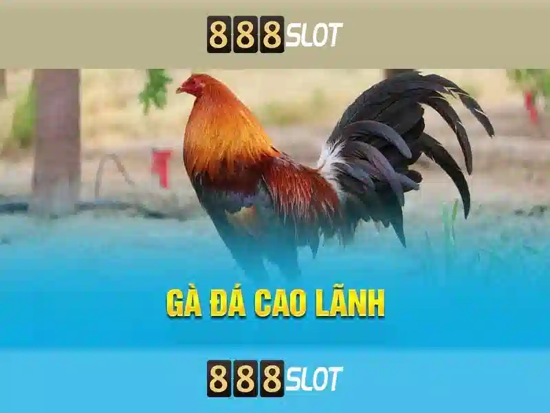 Đặc điểm nổi bật của 888slot