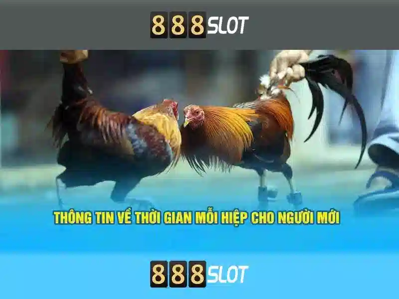 Trải nghiệm trò chơi và khuyến mãi