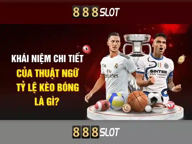Hỗ trợ khách hàng và giao diện di động