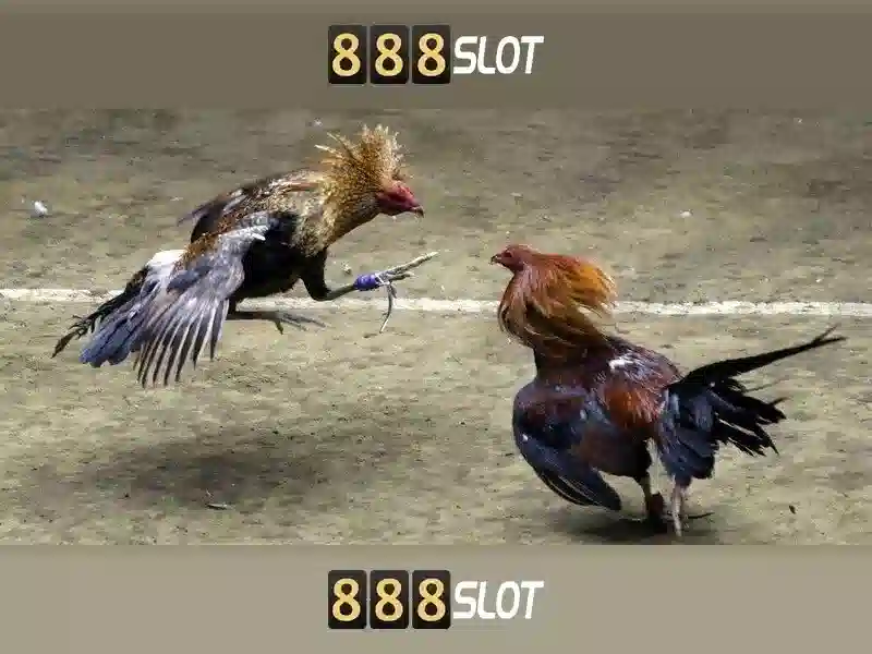 Khởi nguồn và sứ mệnh của situs judi slot 888