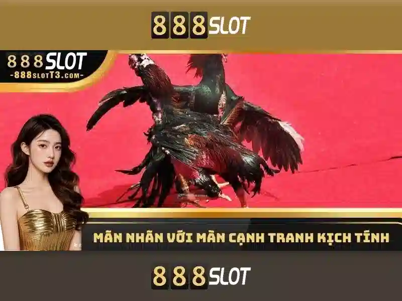 texas slot 888 – Tổng quan chủ đề và giá trị cốt lõi