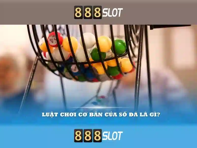 Cách tham gia và thanh toán