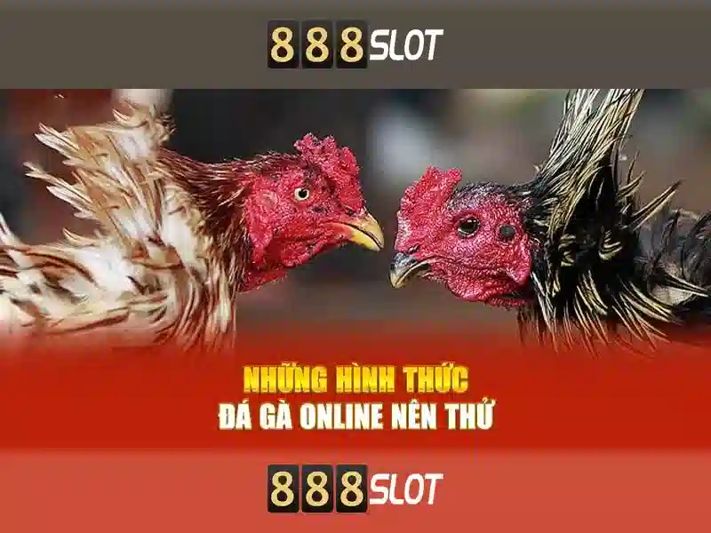 Giới thiệu về 888slot