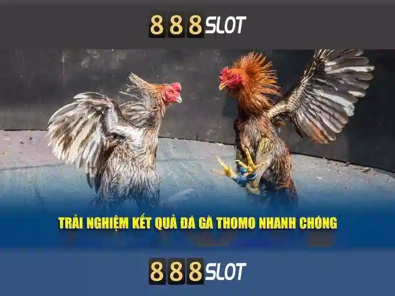 demo slot 888 – Tổng quan chủ đề và giá trị cốt lõi\n