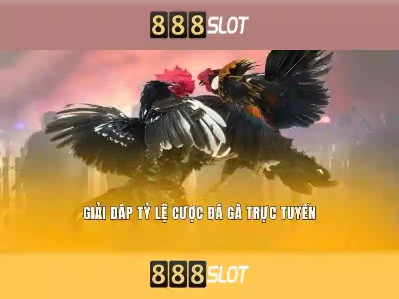 888slot – nền tảng casino trực tuyến đáng tin cậy