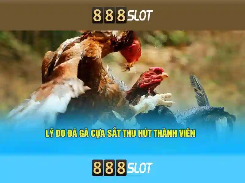 Candy 888 slot: Trải nghiệm đỉnh cao và giá trị thương hiệu