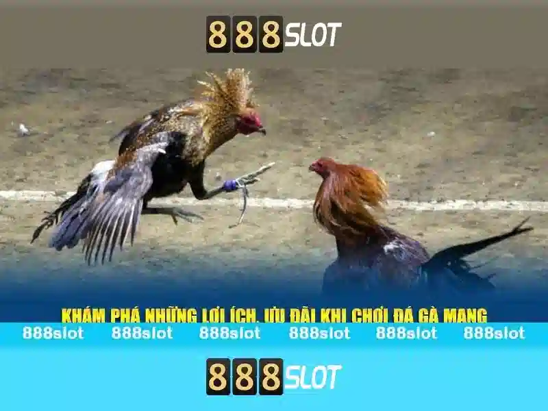 Giao diện và trải nghiệm người dùng