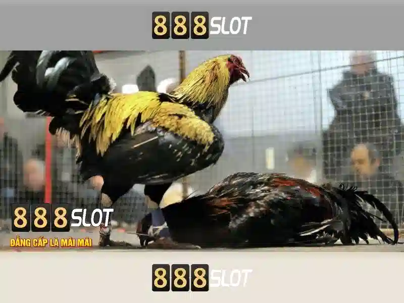 888slot - Nền tảng máy đánh bạc trực tuyến hàng đầu