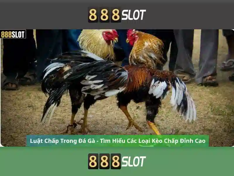 888slot: Nền tảng trò chơi slot trực tuyến đáng tin cậy