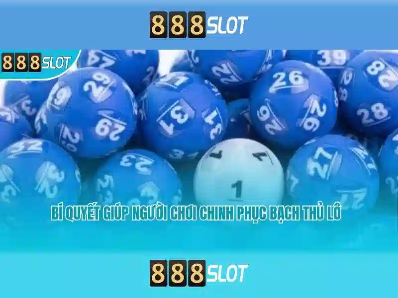 Nền tảng và trải nghiệm người dùng