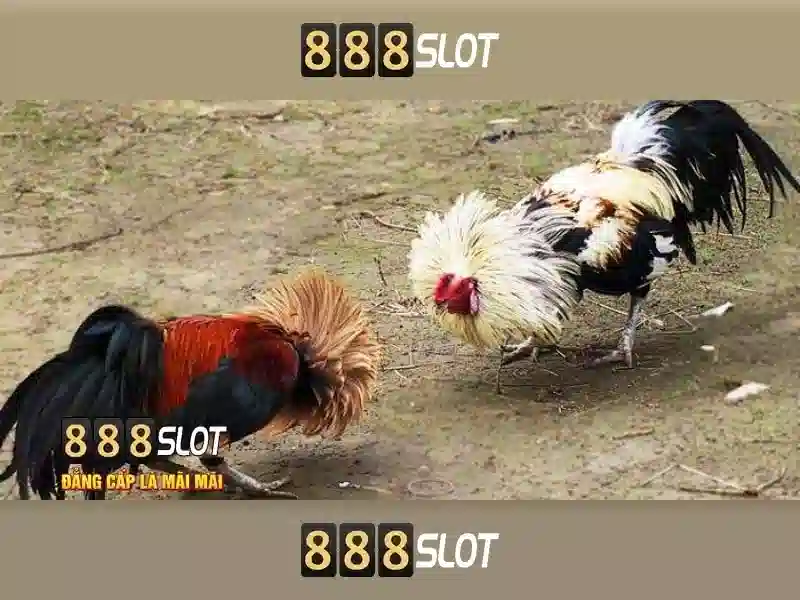 Lợi ích khi chơi tại 888slot\n\n