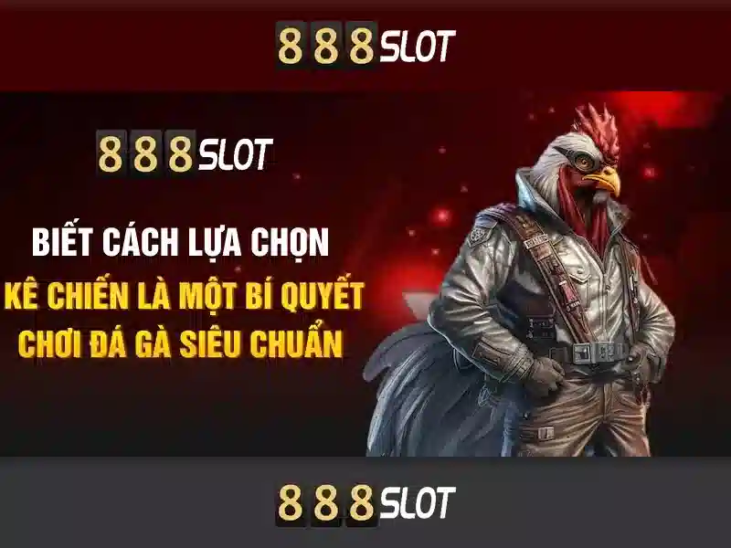 Khuyến mãi và chương trình thưởng hấp dẫn