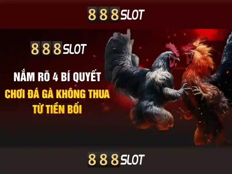 Giao diện và trải nghiệm người dùng
