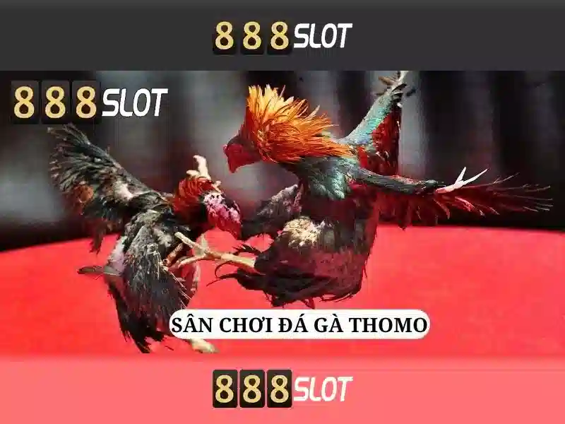 888slot là gì và trải nghiệm chơi slot trực tuyến
