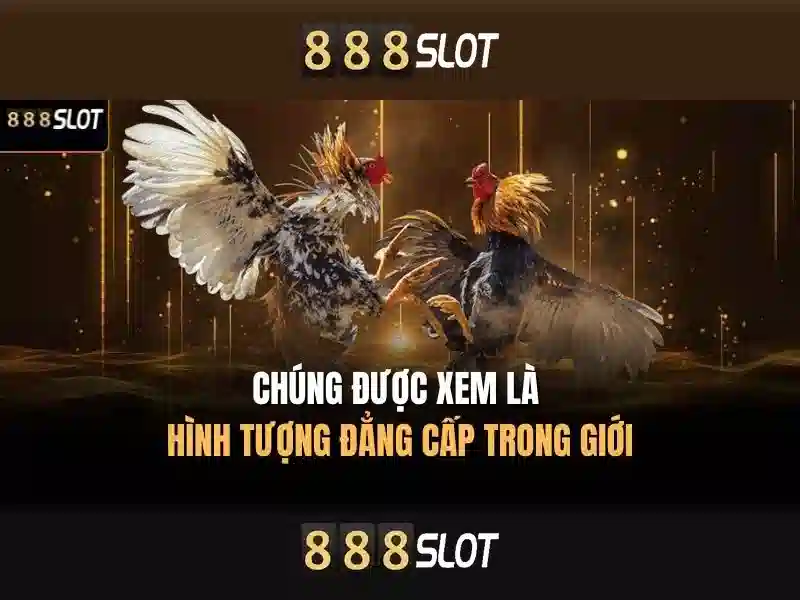 888slot - Sàn đánh bài trực tuyến an toàn và giải trí