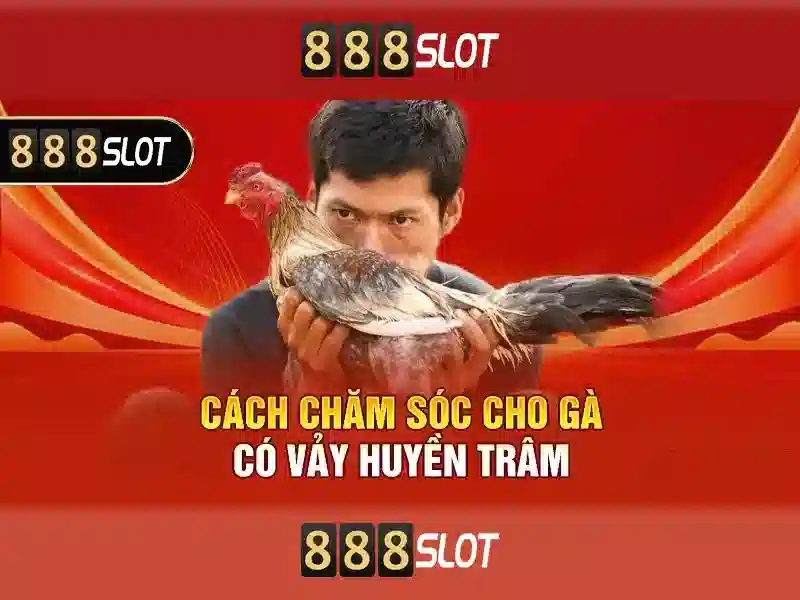 888slot: Đánh giá nền tảng slot trực tuyến phổ biến