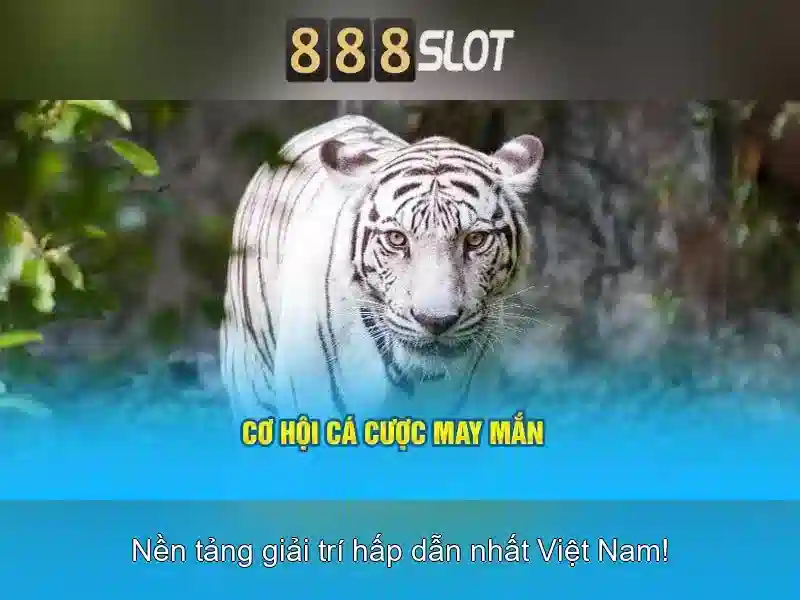 An ninh và thanh toán\n