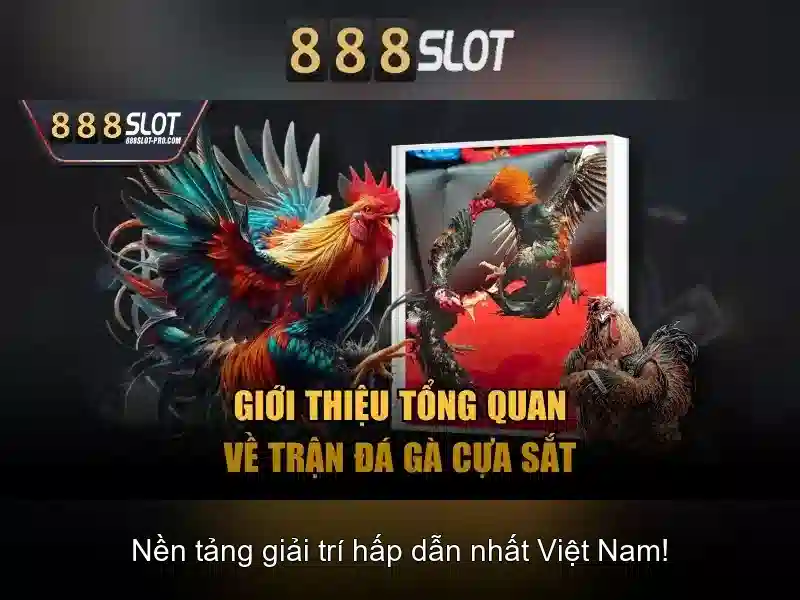 888slot là gì?