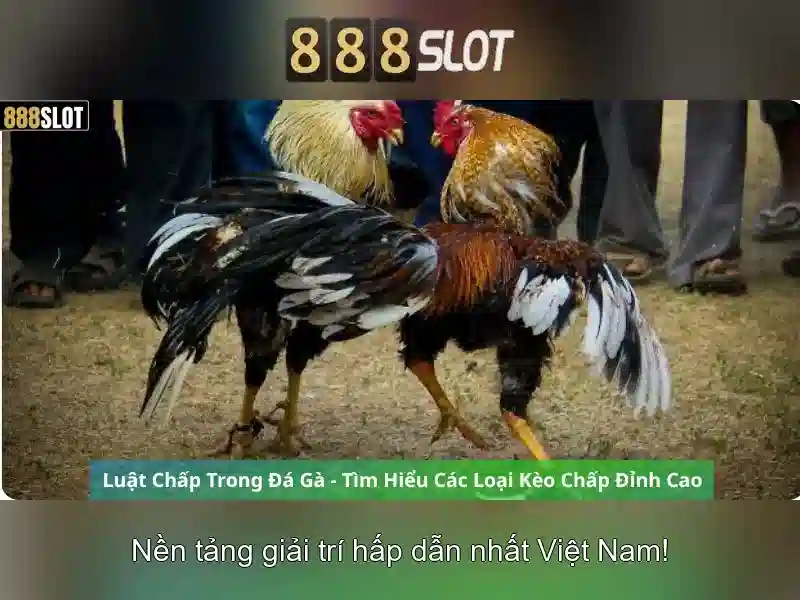 888slot - Nền tảng slots trực tuyến hàng đầu tại Việt Nam