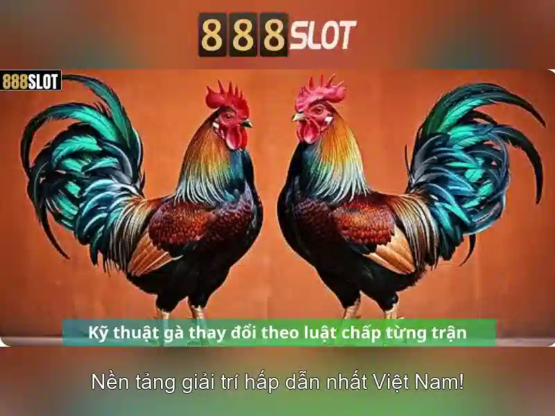 888slot - Trải nghiệm casino trực tuyến an toàn và thú vị