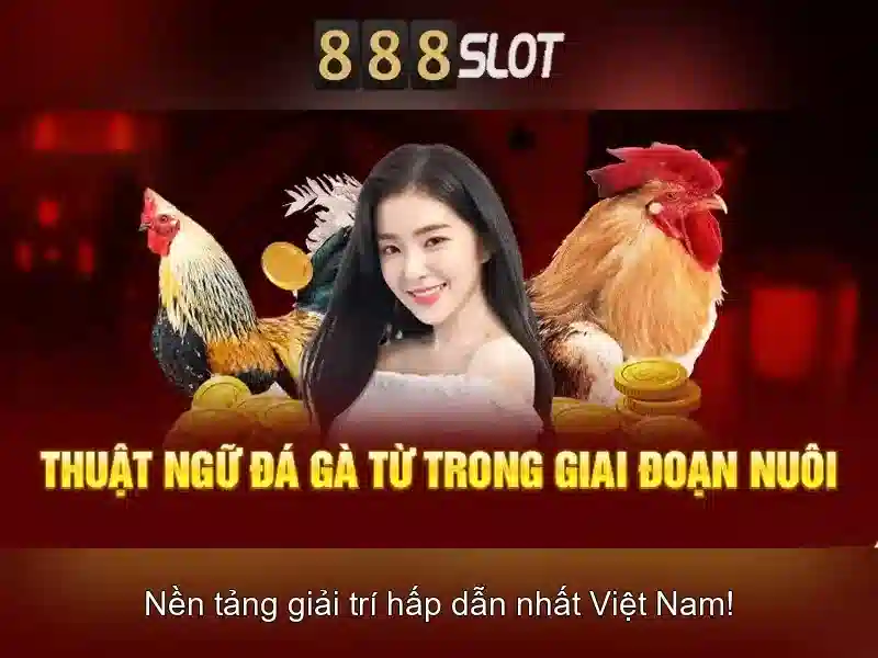 888slot - Nền tảng casino trực tuyến an toàn và giải trí