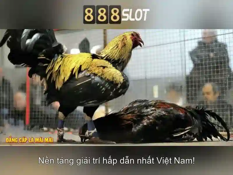888slot: Khám phá nền tảng casino trực tuyến