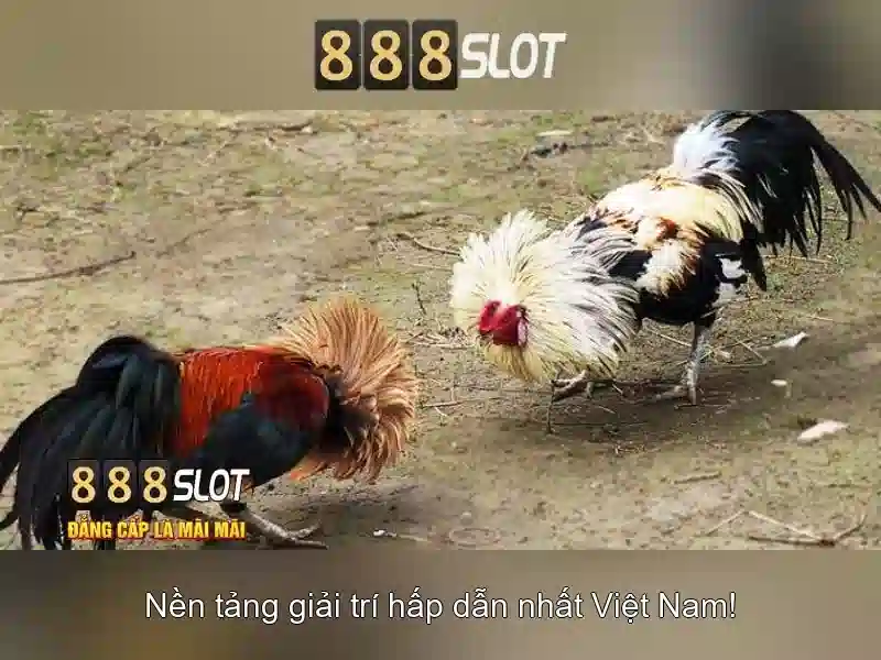 Giao diện người dùng và trải nghiệm\n\n