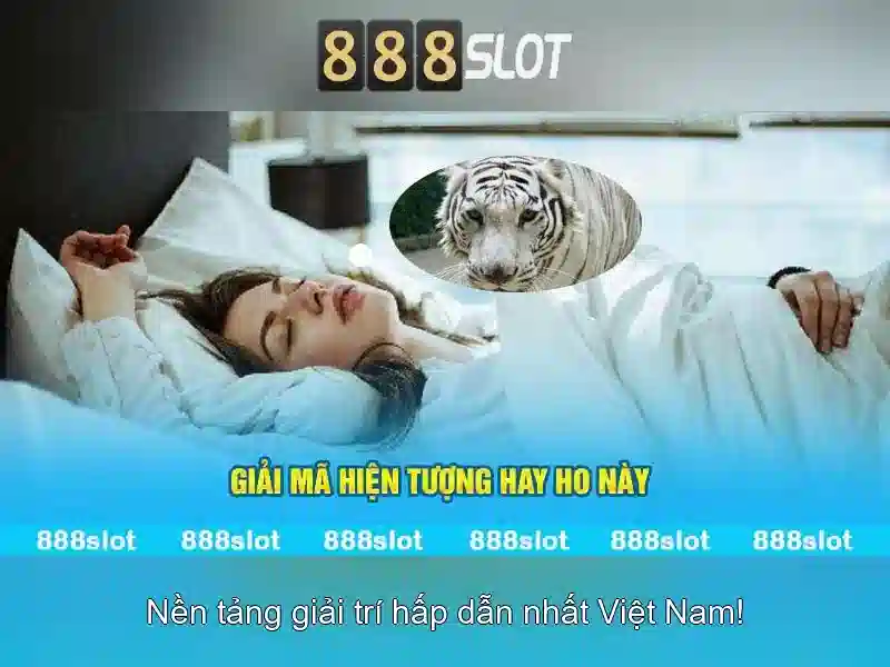 888slot: Khám phá nền tảng sòng bạc trực tuyến