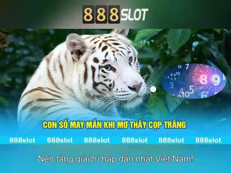 888slot - Trải nghiệm slot trực tuyến tuyệt vời tại nền tảng uy tín