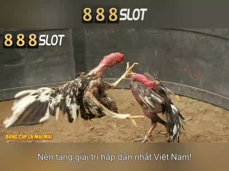 888slot: Nền tảng slot trực tuyến uy tín với trải nghiệm giải trí đỉnh cao