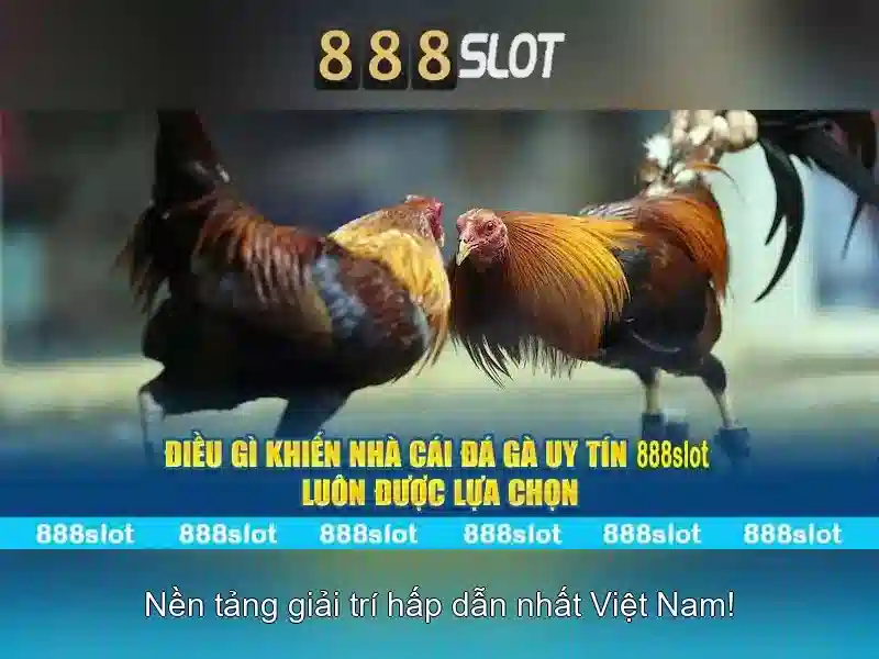 Tương tác xã hội và trải nghiệm người dùng