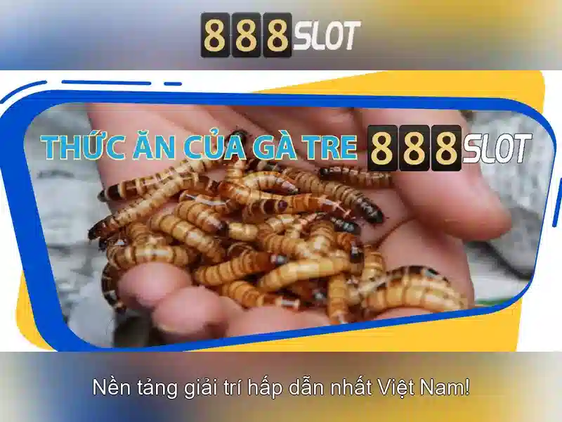 888Slot – Trò chơi slot trực tuyến hàng đầu