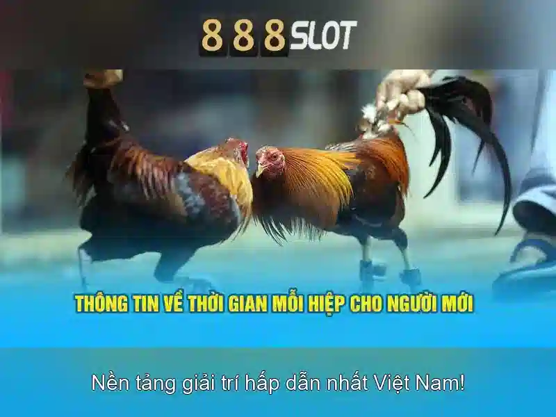 Thanh toán và bảo mật\n\n