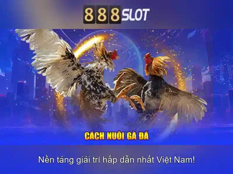 888slot: Nền tảng casino trực tuyến an toàn và tiện lợi